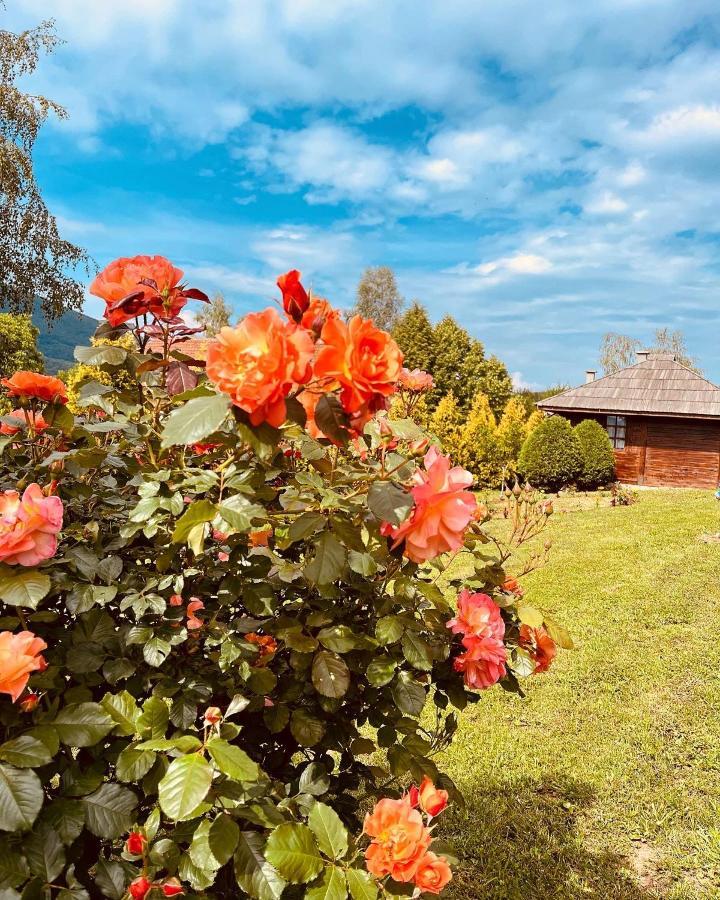 Готель Etno Selo Vranesa Zlatar Нова-Варош Екстер'єр фото